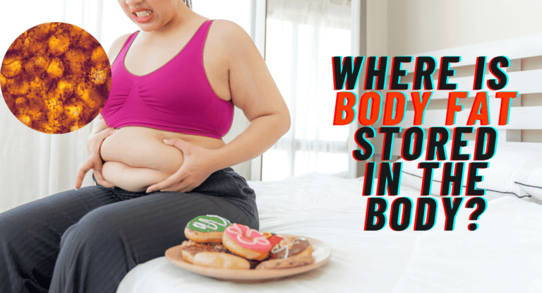 where is body fat stored