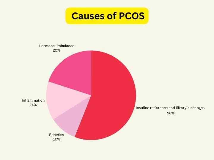 PCOS homeopathy treatment