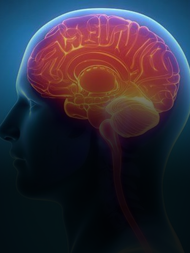 Meningitis: The Silent Threat You Can’t Ignore